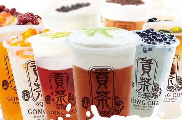 屏南贡茶培训
